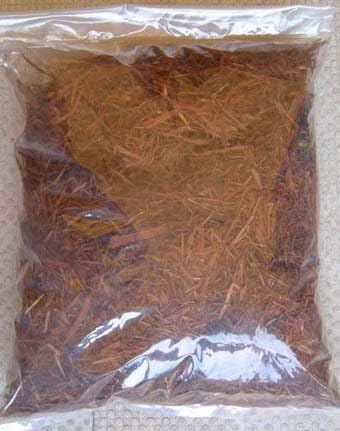 Amazon クリプトモス 約１０l Lサイズ 用土