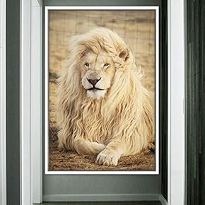 signwin Framed Canvas Wall Art Lions Animals Chic...