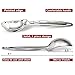 Pizza Cutter Wheel with Server 4in1 design, ALL Stainless Steel, Super Sharp Blade, Dishwasher safe, Premium Combo Pack + Ice Cream Scoop