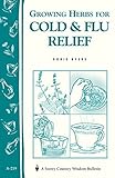 Growing Herbs for Cold & Flu Relief: Storey's Country Wisdom Bulletin A-219 (Storey Country Wisdom Bulletin, A-219) by