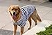 Petroom Dog Shirts for Large Dogs,Dog Striped Cotton T-Shirt Breathable Stretchy Costumes Pet Pullover Clothes(Black White Stripe,M)