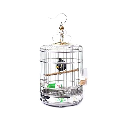 Qqw Cage à Oiseaux En Fer Forgé Cage à Oiseaux Perroquet