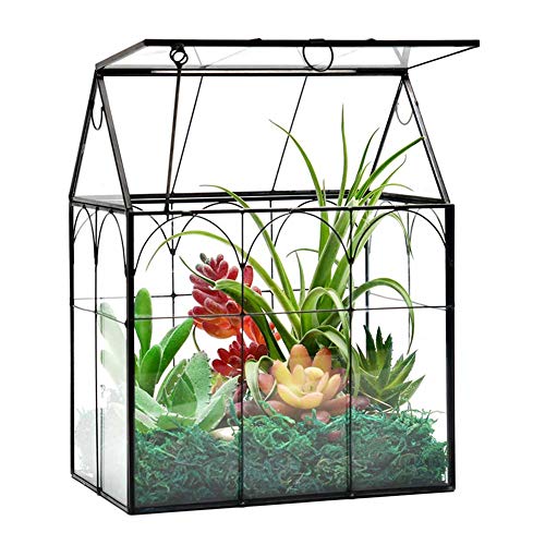 Large House Glass Terrarium Tabletop Greenhouse Succulent Plant