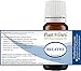 Plant Guru Breathe Synergy Blend 10 ml - 100% Pure Therapeutic Grade Essential Oil