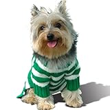 Stinky G Forest Green Stripe Dog Hoodie Sweater #10 - S