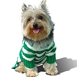 Size #10, Designer Pet Clothes, Dog Hoodie Sweater Sweatershirt, Forest Green Stripe, Casual and Stylish