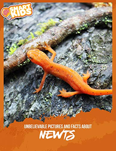 Printables to Help Your Kids Learn About Amphibians - Homeschool Giveaways