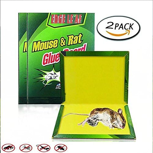 ZOORE Rat/Mouse/Mice/Insect/Lizard/Spider/Glue Trap, Pest Catch Experts. Super Sticky Board Contains Scent Lure，Professional Indoor Outdoor Traps. Perfect Use for any Place