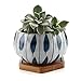 T4U Succulent Pots 4 Inch Ceramic Japanese Style with Saucer, Orchid Pattern Plant Planter Cactus Flower Container Aloe Bowl Indoor Home Office Decoration Christmas Wedding Gift