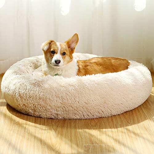 JEMA Dog Beds for Medium Dogs Donut Calming Dog Bed Washable
