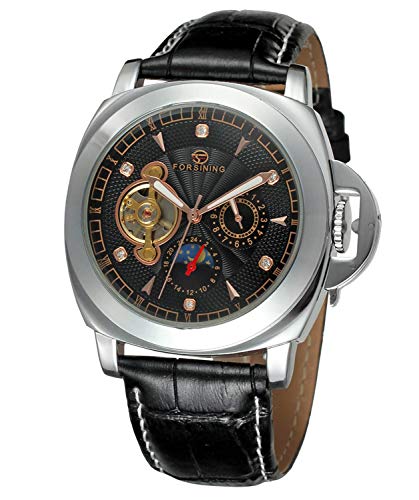 Carrie Hughes Men's Luxury Tourbillon Stainless Steel Waterproof Skeleton Mechanical Leather Automatic Watches CHA005A