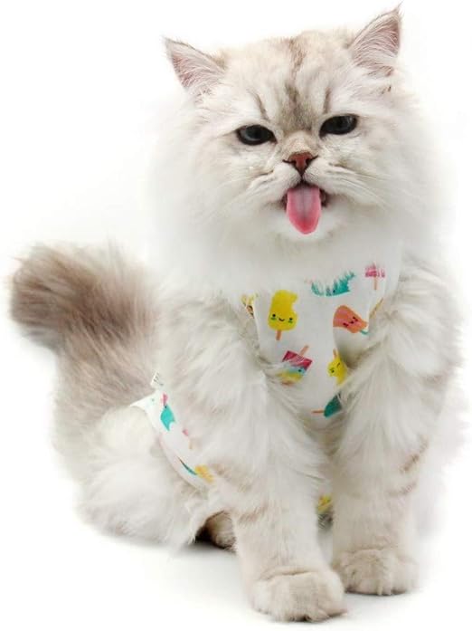 cat recovery suit near me
