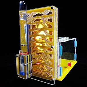 8bayfa Ant Farm Toy Formicaio R1 con Alimentazione Area Ant Farm Acrilico Insetti Gabbie Villa Pet Mania for Casa…