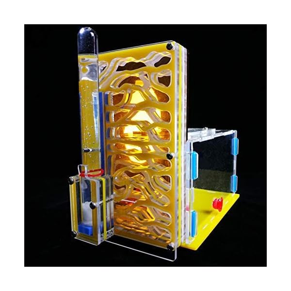8bayfa Ant Farm Toy Formicaio R1 con Alimentazione Area Ant Farm Acrilico Insetti Gabbie Villa Pet Mania for Casa…