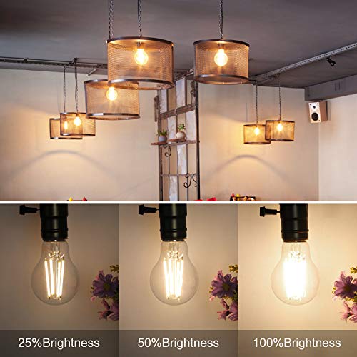 A19 LED Edison Bulb Dimmable 6W LED Filament Light Bulbs 60W Incandescent Equivalent Led Vintage Bulb 3000K Soft White 620LM E26 Medium Base Decorative Clear Glass for Home, Office, Cafes, 6 Pack