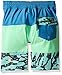 Volcom Boys' Chop Rif Half Stoney Youth Boardshort