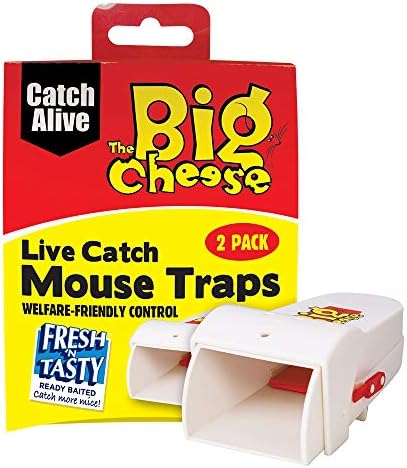 Big cheese live mouse trap Clearance