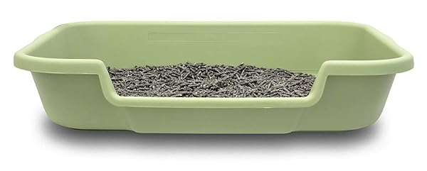 PUPPYGOHERE DOG LITTER BOX, LARGE SIZE, APPLE GREEN...