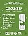 DRY Botanical Bubbly, Vanilla, 12 FL Oz (Pack of 4)