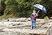 Western Chief Kids Character Umbrella, Thomas Blue Engine, One Size