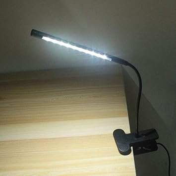 study lights online