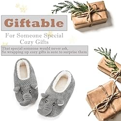 Cozylook Cute Animal Indoor Slippers for Women Kids