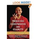 Turning Confusion into Clarity: A Guide to the Foundation Practices of Tibetan Buddhism