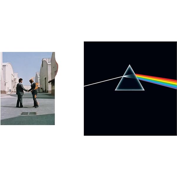 Pink Floyd - The Dark Side of the Moon [Vinyl] - Amazon.com Music
