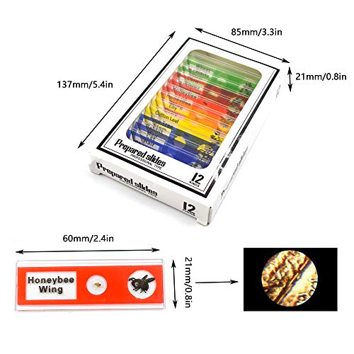 image for Kids Microscope Prepared Slides, Bysameyee Plastic 48pcs Animals Insec