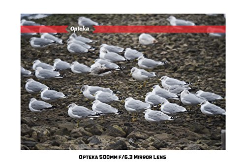 Opteka 500mm f/6.3 (with 2x- 1000mm) Telephoto Mirror Lens for Pentax K-70, K-50, K-3 II, KP, K-1, K-S2, K-S1, K-500, K-30, K5 IIs, K-7, K-5, K-2, K20D, K100D, K110D and K10D Digital SLR Cameras