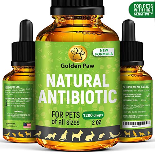 GoldenPaw Natural Antibiotíс for Dogs New Garlic Free Formula