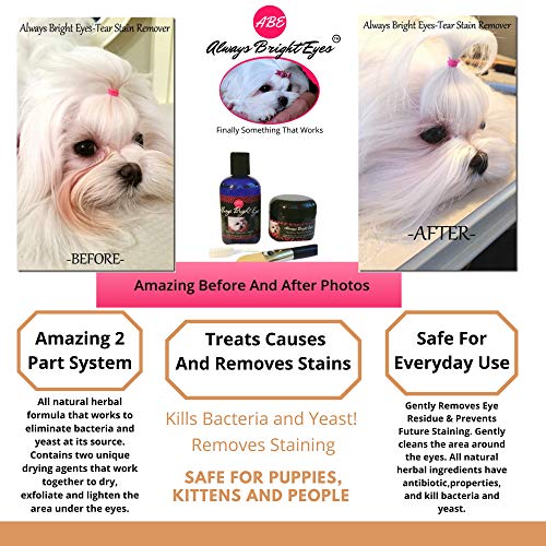 always bright eyes for dogs