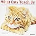What Cats Teach Us Mini 2019 Wall Calendar by 