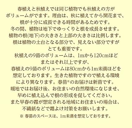 8ib 3z4pz6932m 8ib 3z4pz6932m