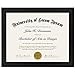 Americanflat 8.5x11 Black Diploma Frame | Shatter-Resistant Glass. Hanging Hardware Included! primary