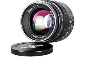 Brightin Star 50mm F1.4 Big Aperture APS-C Manual Focus Mirrorless Camera Lens, Fit for Sony Alpha ZV-E10, A7IV, A6400, A7II, A7SIII, A7III, A7C, A6600, A6100, A7RIV, A6000, A7RIII (Black)