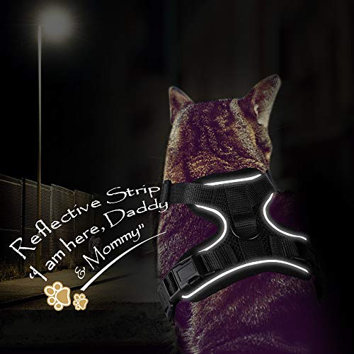 5 Eagloo+Harness+Adjustable+Reflective+Walking