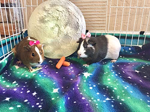 Small Pets and Company Guinea Pig Fleece Cage Liner for Midwest Habitat | Fleece Guinea Pig Bedding (Midwest, Northern Lights)