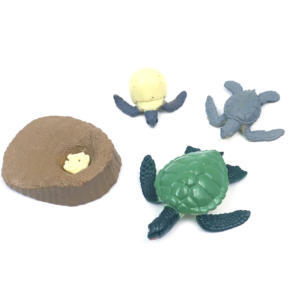 WANGCL Set of 4pcs Life Cycle of a Green Sea Turtle Toy Safari Sea Animal Toys for Kids Students Teacher