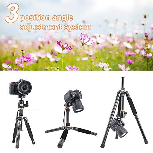 JEIFN 60"Leichtes Stativ für Kamera und Telefon, tragbares Aluminium-Reisestativ mit Einbeinstativ und 360-Grad-Kugelkopf 1/4 Zoll Schnellwechselplatte und Telefonhalter für Vlog-Reisen und Arbeiten – Bild 7