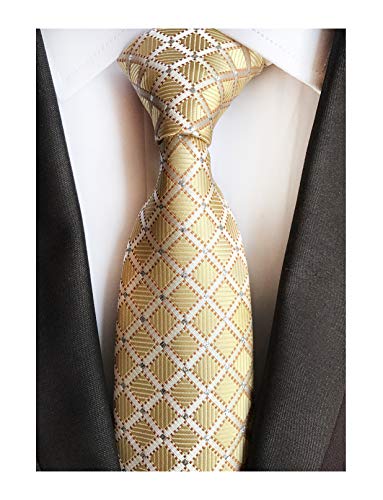 Mens Fashion Style Light Gold Silver Plaid Inspired Necktie Pretty Birthday Gift