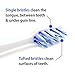 Genesis 2-in-1 Tooth Brush and Tongue Scraper Brush, by Dr. Bob Wagstaff Inventor of Orabrush. Revolutionary Bristle Design Cleans Between Teeth, Below Gumline & Crevices of Tongue (Single Pack)
