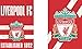 WinCraft Liverpool Football Club Garden Flag, Vintage Distressed Edition, 12.5x18 inches, 2 Sided