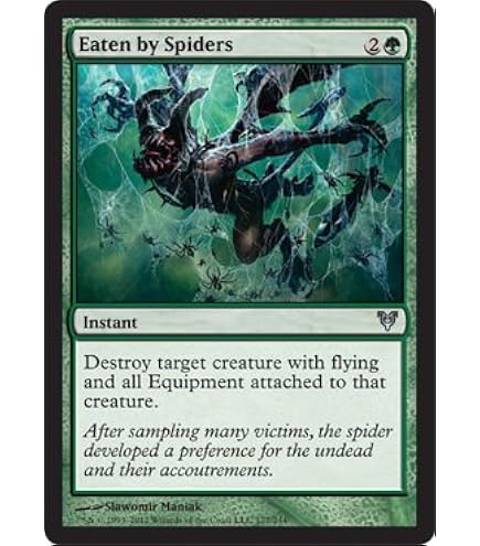Amazon.com: Magic: the Gathering - Spider Umbra