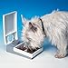 Cat Mate C10 Automatic Pet Feeder