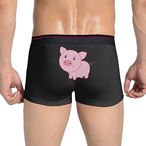 Cute Cartoon Pig Men's Sexy Soft Classic Custom Boxer Briefs Underwear