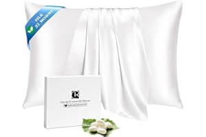 Ravmix 100% Silk Pillow Cases with Zipper, 21 Momme Mulberry Silk Pillowcase for Hair Skin Health, Soft Smooth Breathable Cool Pillow Cover for Beauty Sleep(Standard 20"x26", Ivory White) 1PC
