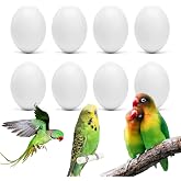 WOLEDOE 8Pcs Fake Parrot Eggs Stop Egg Laying for Lovebird Budgie 18x25mm | Fits Bourke's Lineolated Parakeet English Show Budgie