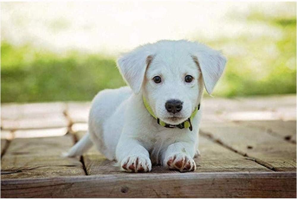 YMYGG Jigsaw Puzzles For Adults 1000 Piece White Puppy Kids Puzzles Toys Educational Puzzles Jigsaw