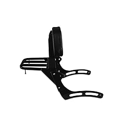 SWESGI Motorcycle Passenger Backrest Sissy Bar with